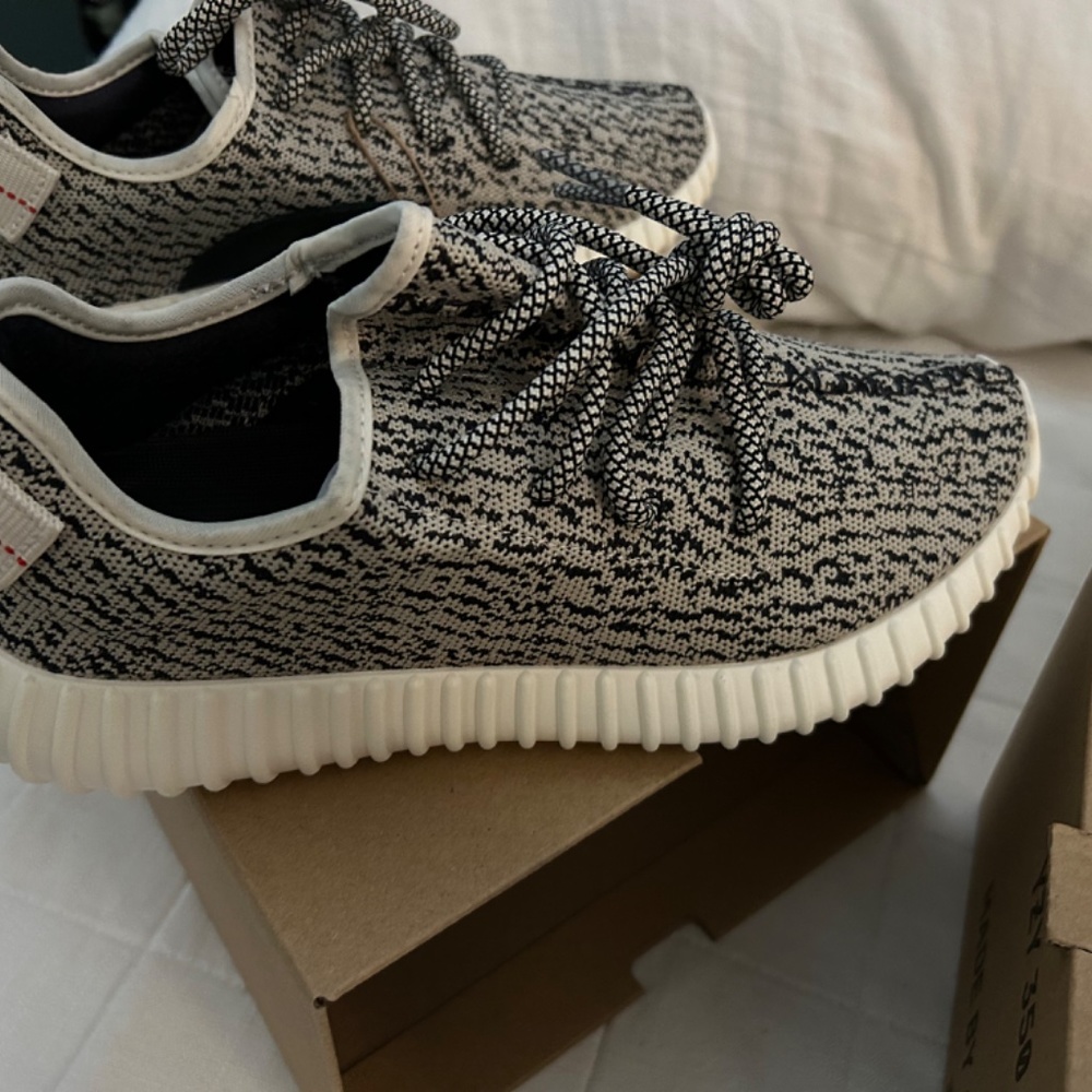Yeezy Boost 350 Turtle - Picture 2 of 14
